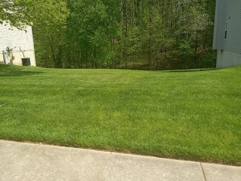  landscape cleaning
